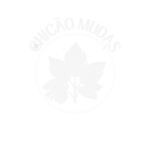 Chicão Mudas